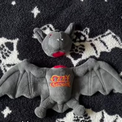 Cuddle the Night: Limited Edition All-Black Bat Plush